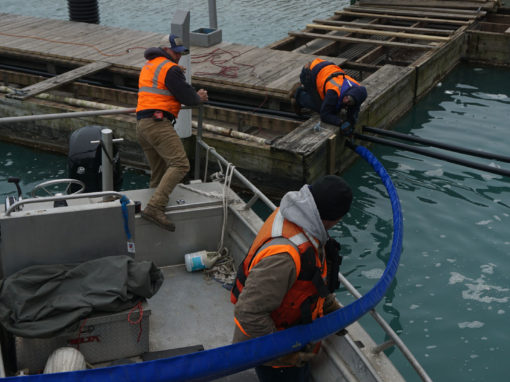 Marina Fueling Dock Repipe